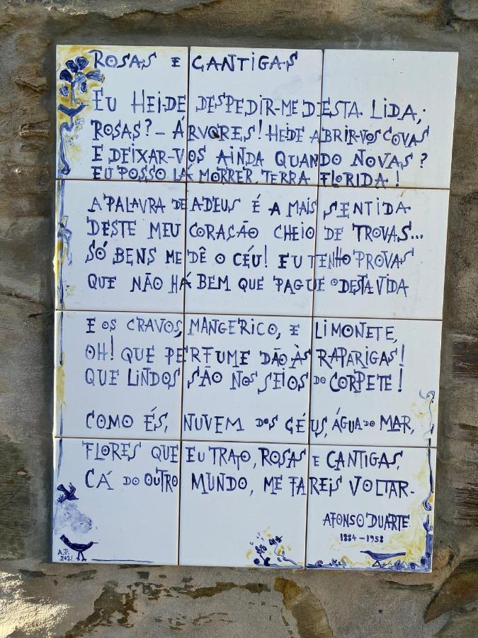 Quinta Do Alagao Διαμέρισμα Coja Εξωτερικό φωτογραφία